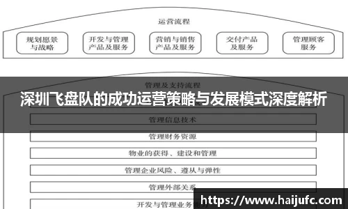 深圳飞盘队的成功运营策略与发展模式深度解析